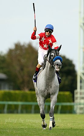 j_taro's tweet photo. Red Falx with Mirco Demuro won Sprinters Stakes. #RedFalx #MircoDemuro https://t.co/kXNaHfds9Z