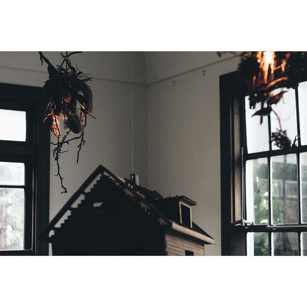 actroom201's tweet photo. .
.
constantine .
exhibition 「wa1c 0o」.
.
植物の塊から仄かにもれる灯り。.
ひとつでも十分な存在感です。.
.
賑やかな初日、ご来店ありがとうございました。7日まで平日も開店しております… https://t.co/N7MBhNQQg5 https://t.co/SPmaGpdMle