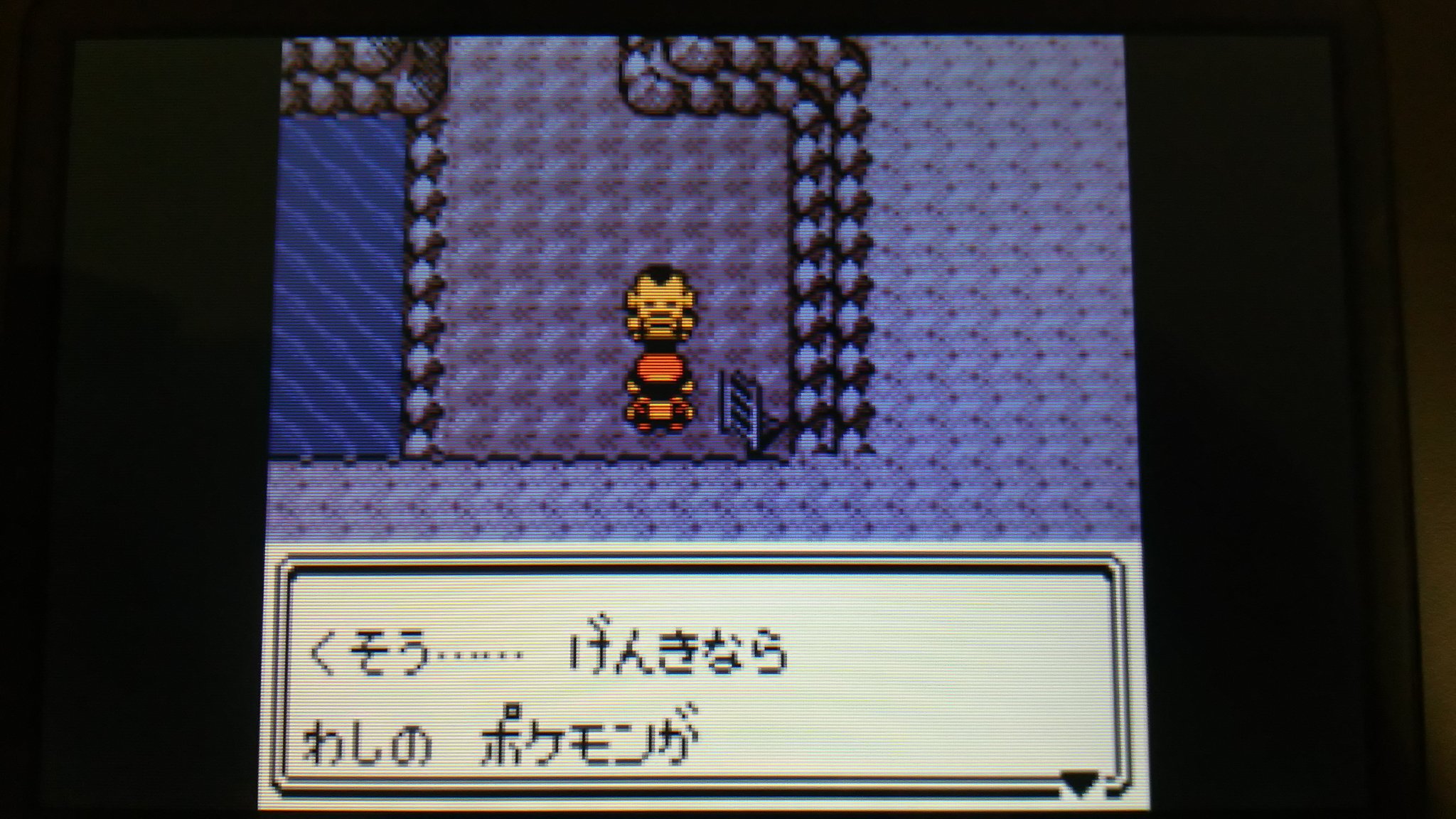 Twitter 上的 センジ ガンテツさんのポケモン イメージ的にはクヌギダマやフォレトス エイパム タマタマ辺りのずつきで木から落ちてくる ポケモンが似合うかな ポケモン金銀 T Co Wakxuu8hul Twitter