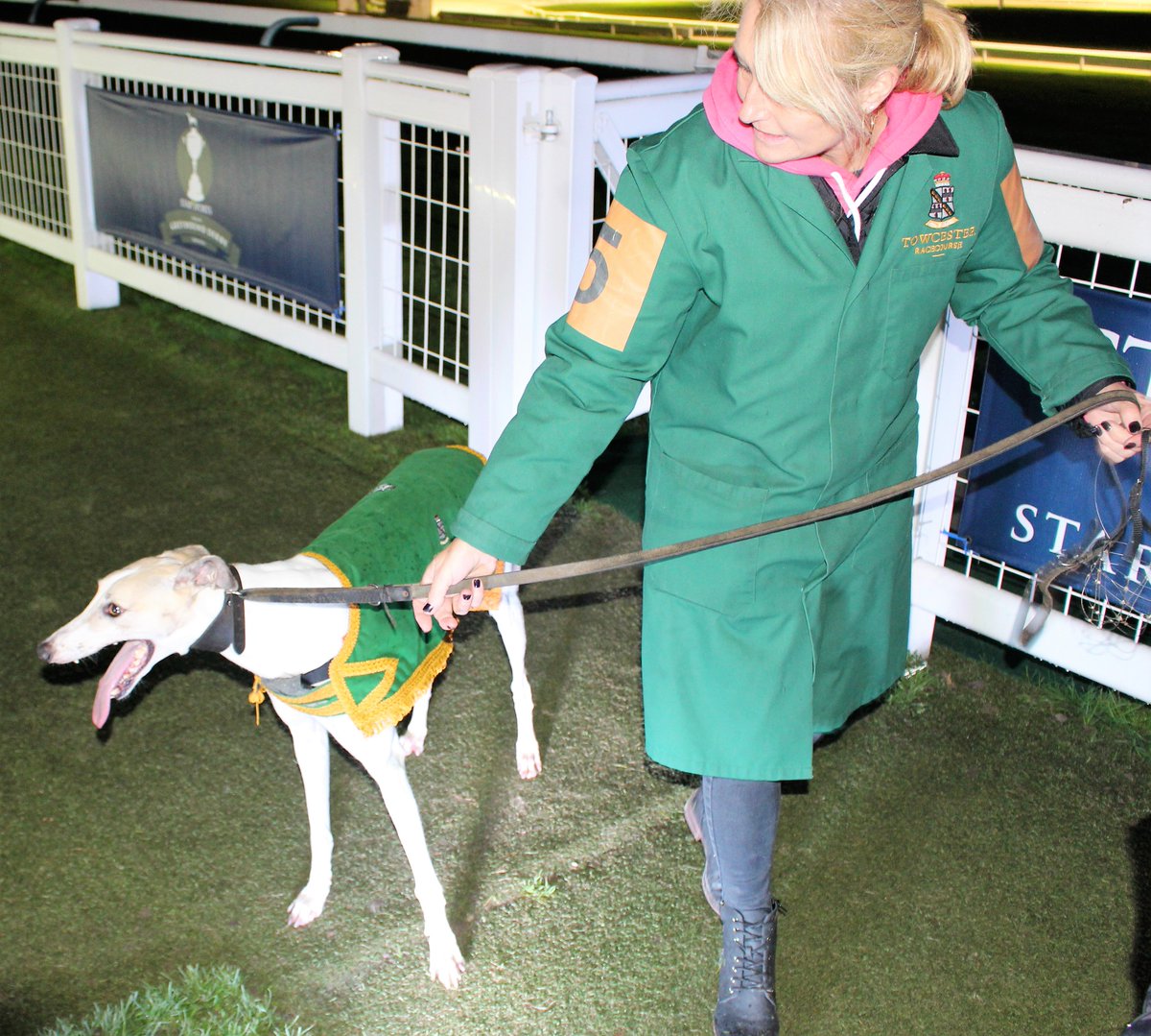 Orchard Kennels (orchardkennels) Twitter