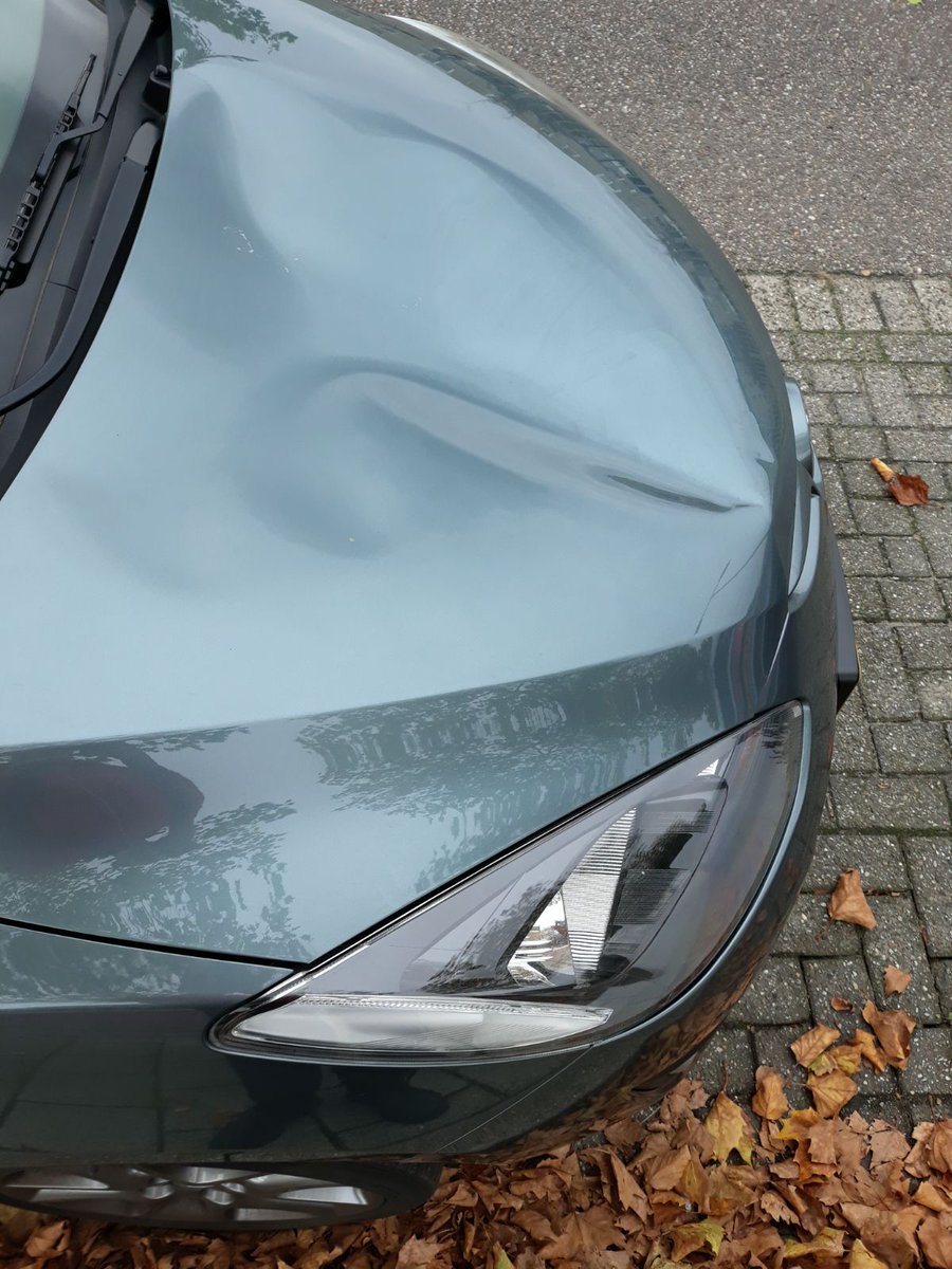 stormpiesan's tweet photo. @PolitieSchiedam Vannacht op de Gustav Vasaborg gebeurd rond 03.00 uur. Nog andere gevallen bekend ? Schade € 1000 of meer. Bedankt nog. https://t.co/C7iTvT3cpP