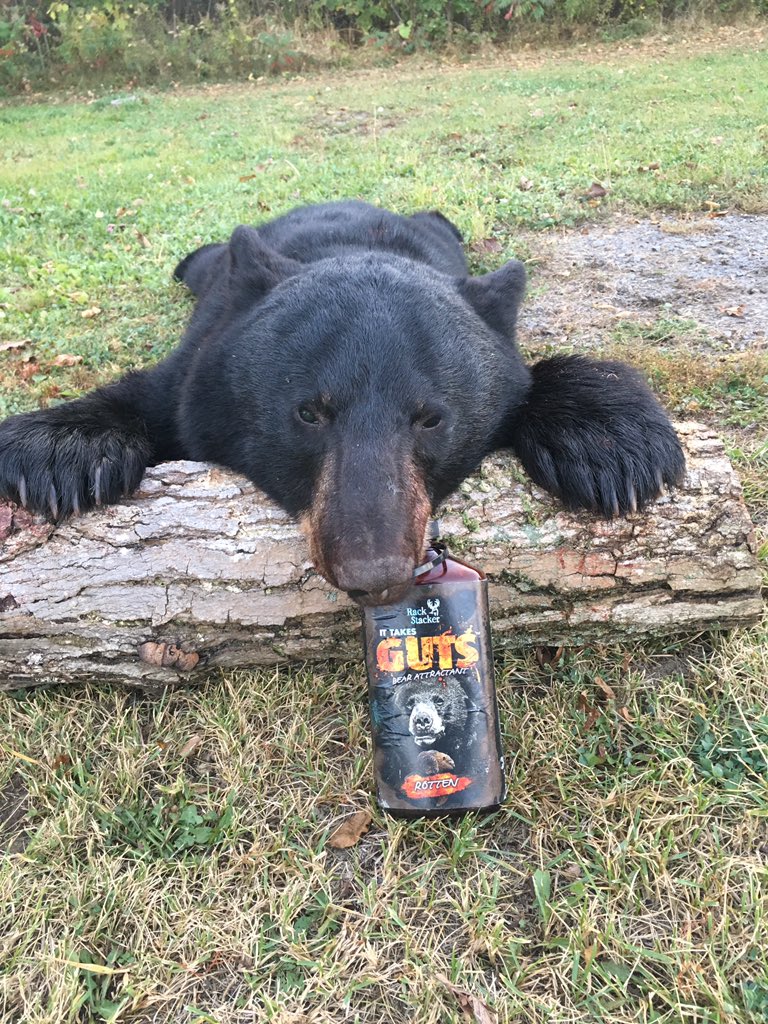 whitetailexpert's tweet photo. Wrapped the bear hunt last night #rackstacker #deaddownwind #savagefirearms big thanks to rack stacker products! Get em they work! https://t.co/NvjmncJkGt