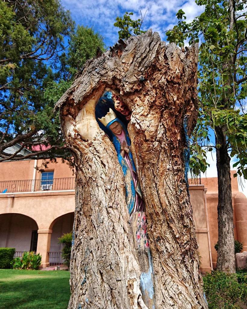 qinxiesays's tweet photo. Cottonwood madonna, or virgin in a tree, in Albuquerque Old Town. Awesome but also slightly terrifying.
#albuquer… https://t.co/AGB2AXT1TV https://t.co/rCNFVc2RmW