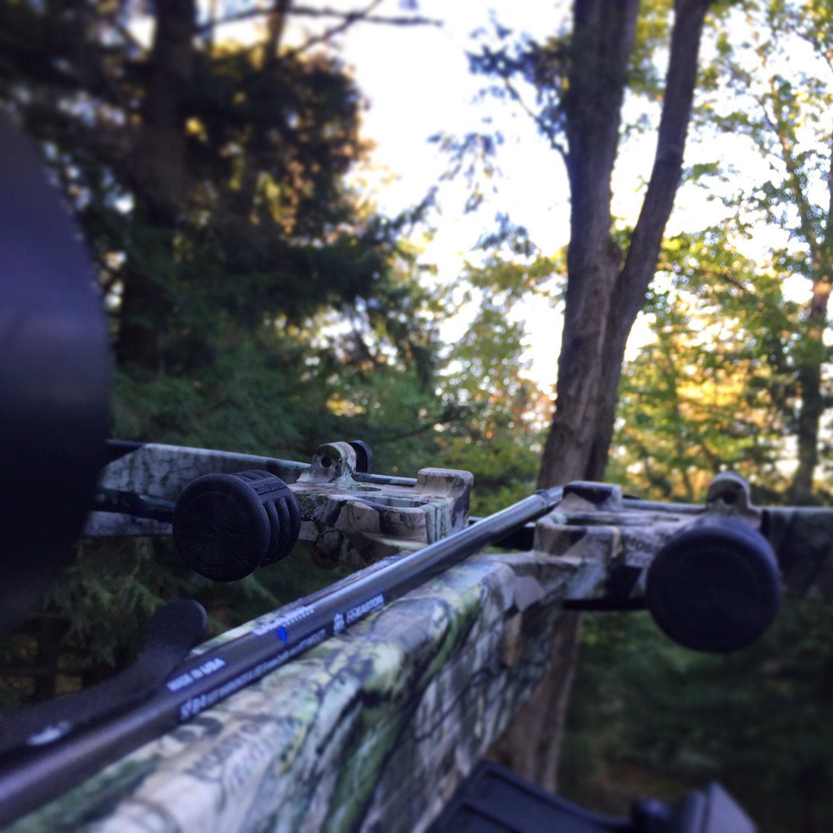 CrossbowHuntin tweet media