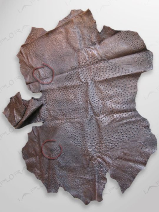 Implora Snakeskin tweet media