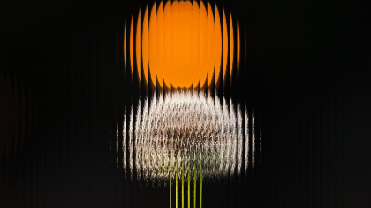 UrbanoDesprini's tweet photo. PIXA#026 © #visuals #generative #photography #visualart #visuals #Abstract #digitalart https://t.co/kvpZJg1er6