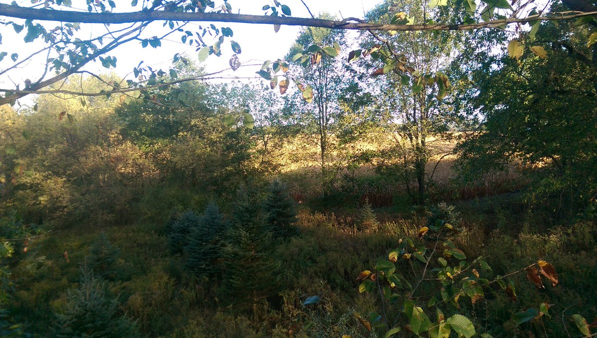 twdrenth's tweet photo. What a beautiful morning to start the day and #OpeningDay here in Michigan #deerhunting #SkyView42 https://t.co/m05o2Ry1zu