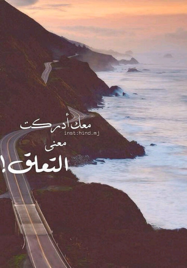 mohamed fahkre zaki (@safina201012) on Twitter photo 