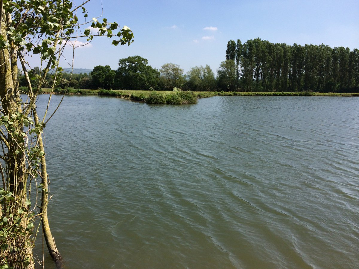 WalkerCrosswell's tweet photo. Well done to Nick Hodges winning Match 19 of the Summer League on the MT Lake. Match result to follow.... https://t.co/fiDqj6YTuh