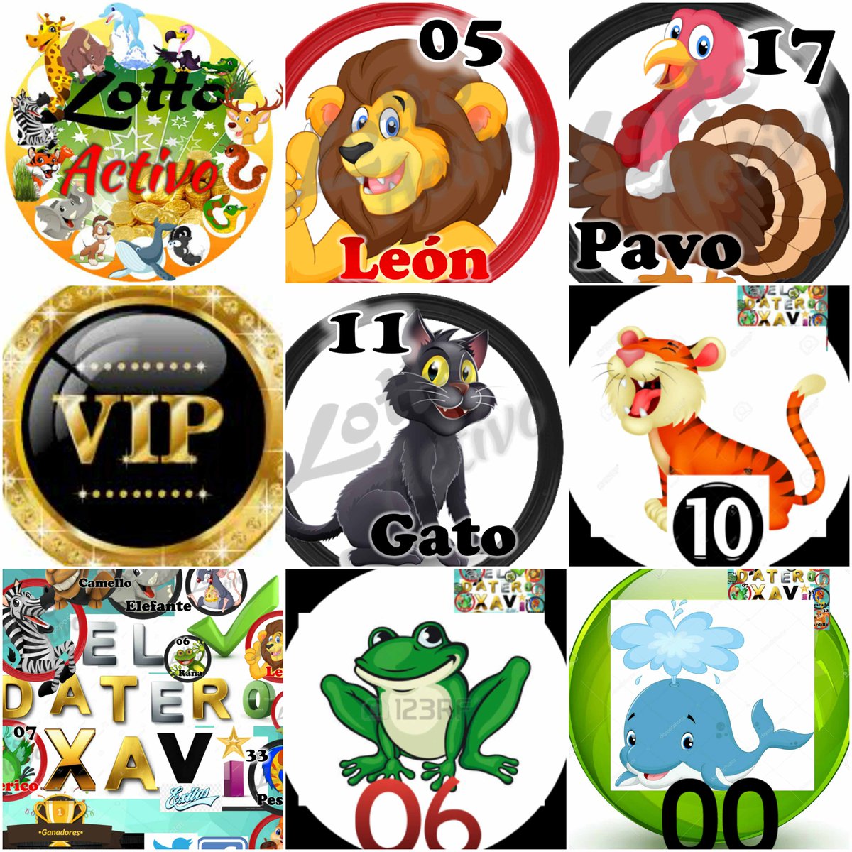 ligadateros2018's tweet photo. #DATAZOSVIP
DOMINGO 01/10/17:
DIAMANTES:05-17
ORO:11-10
PLATA:06-00
exitos #GanadoresVIP https://t.co/nYNL2QNbfv
