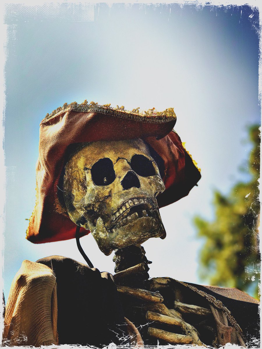 TravisSchultz1's tweet photo. Happy first day of #Halloween            #iphone #photography #photooftheday #SanAntonio #satx https://t.co/NvVPi5iK64