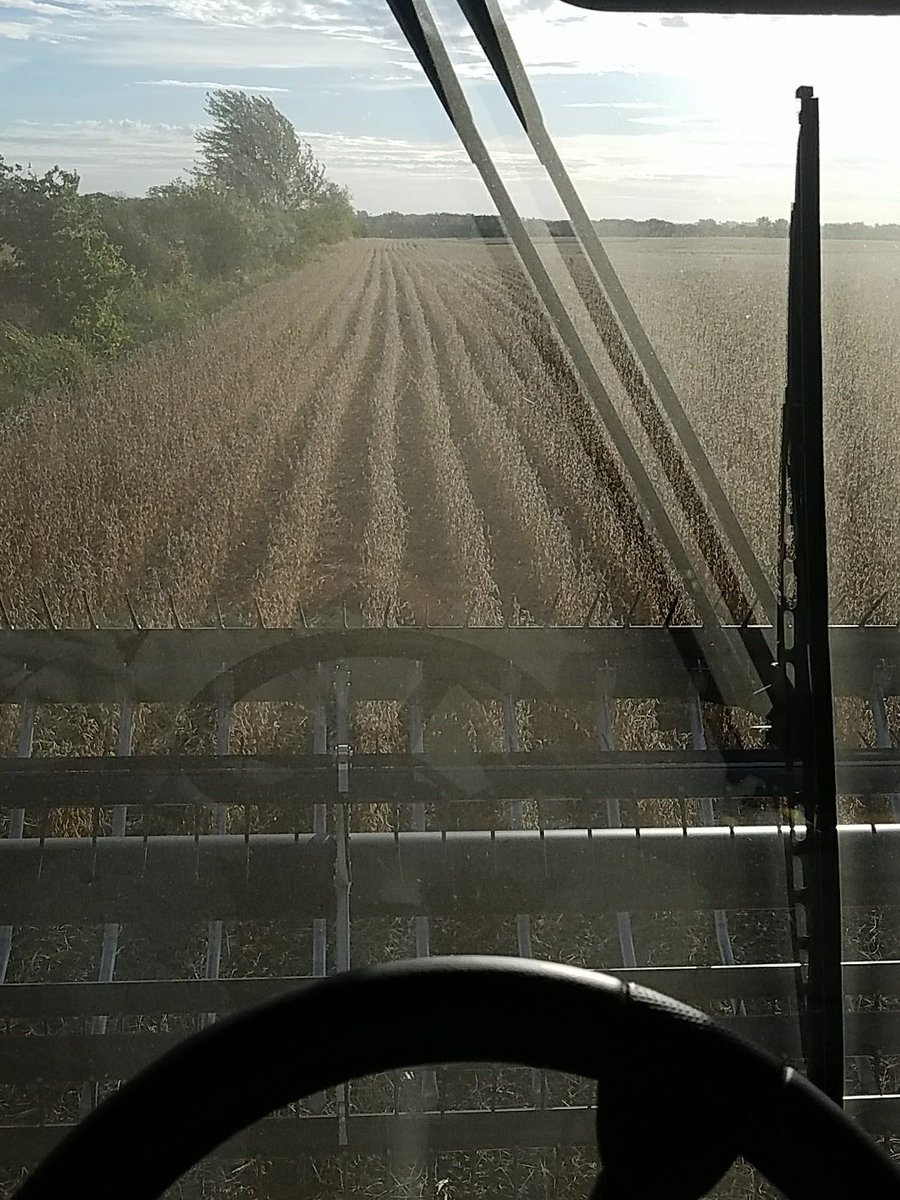 connorwoods2805's tweet photo. Getting an earlier start this morning! #nodew #harvest17 #stine https://t.co/uVgDPlu93l