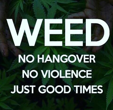 iosbaba's tweet image. Weedy