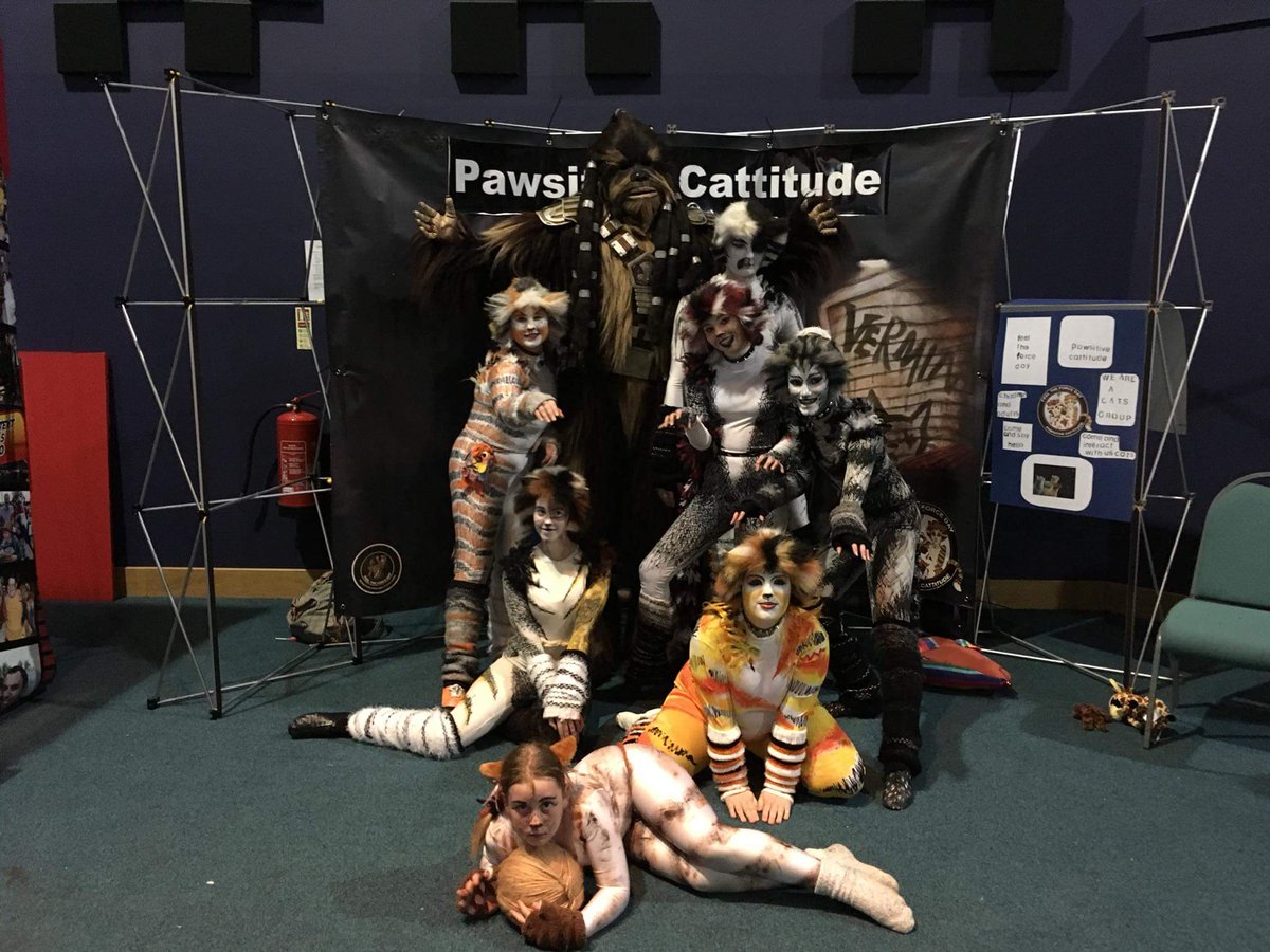 StitchCosplayUK's tweet photo. My little minder Jingles the kitten with the amazing #pawsitivecatitude @FeeltheForceDay https://t.co/M6hx6V0FpY