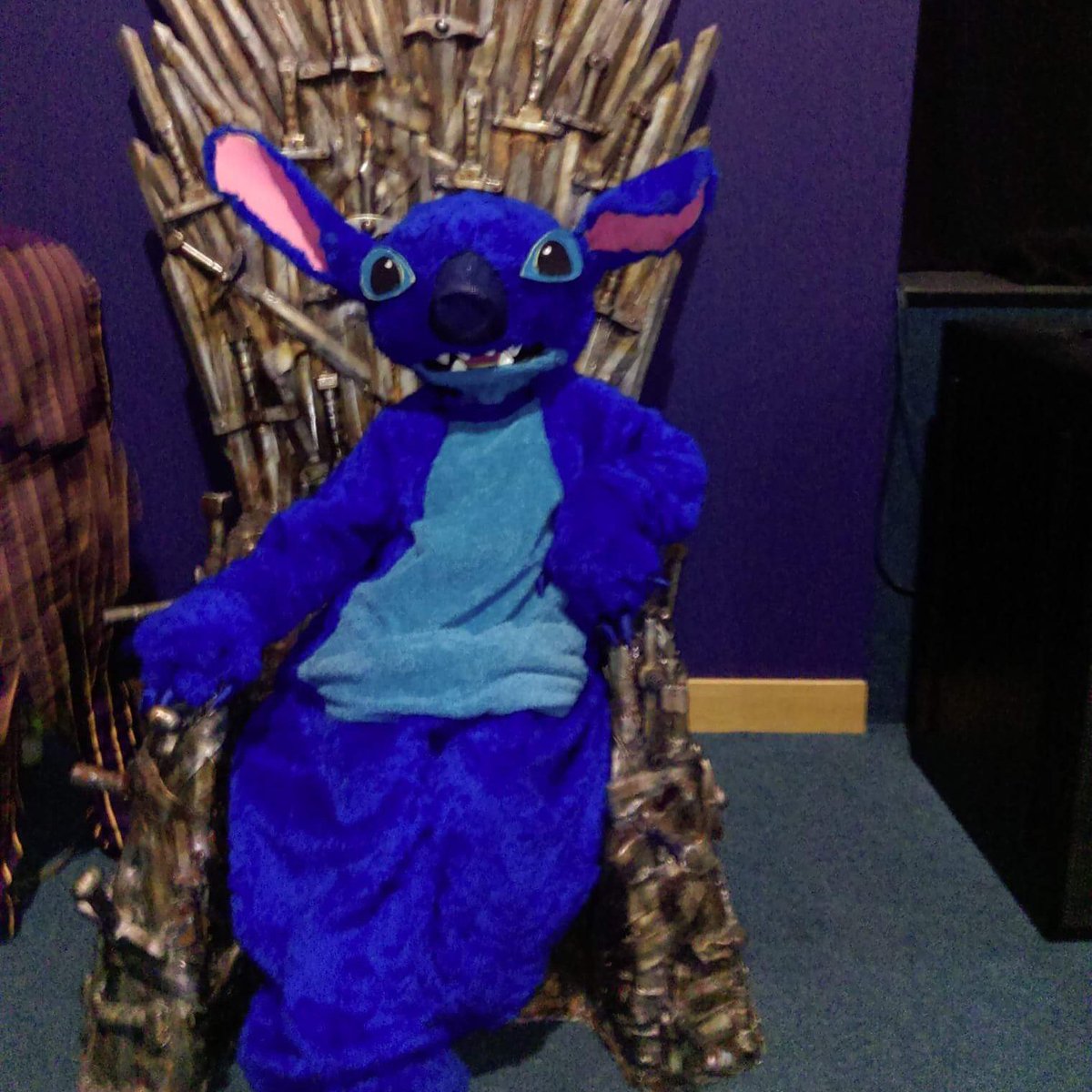 StitchCosplayUK's tweet photo. #NewProfilePic https://t.co/HzcZmL5V6R