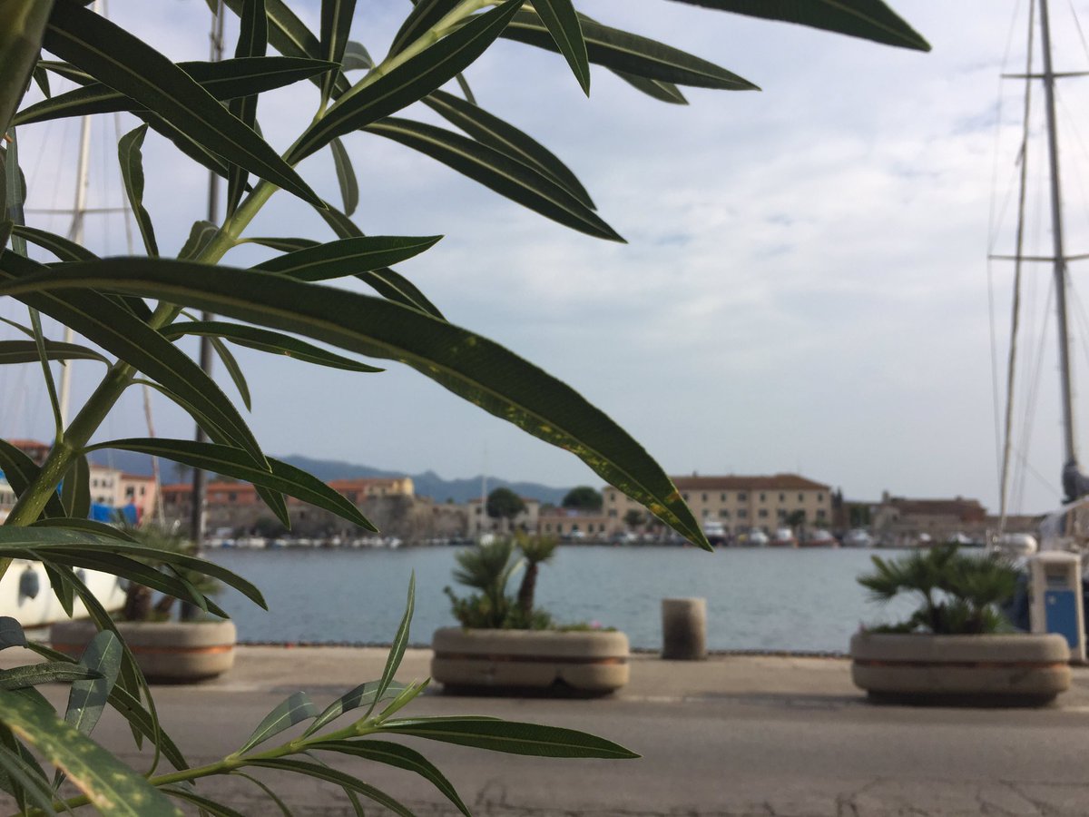 FamilyWelcomeRM's tweet photo. Ottimo pranzetto di pesce a Portoferraio. Ed Ora ci godiamo questa impagabile vista, a tutto relax! @VisitElbaIT #ElbaActive17 #BlogTour https://t.co/wZZWLP4XvT