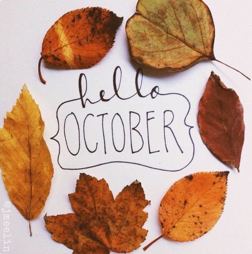 JrLeagueAkron's tweet photo. Happy October! 🎃👻🍁🍃🍂☕️ https://t.co/WY6sPj1dTX