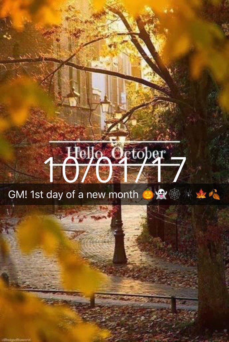 trishfowler32's tweet photo. Hello October 💛🖤❤️ https://t.co/Lzd4oCCObc