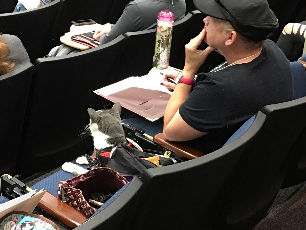 hcphtx's tweet photo. #CatladyGoals! We welcome all zoonotic experts and industry leaders at our #OneHealth2017 conference. ❤️🐱 #truelove https://t.co/dkOzUBZzVq