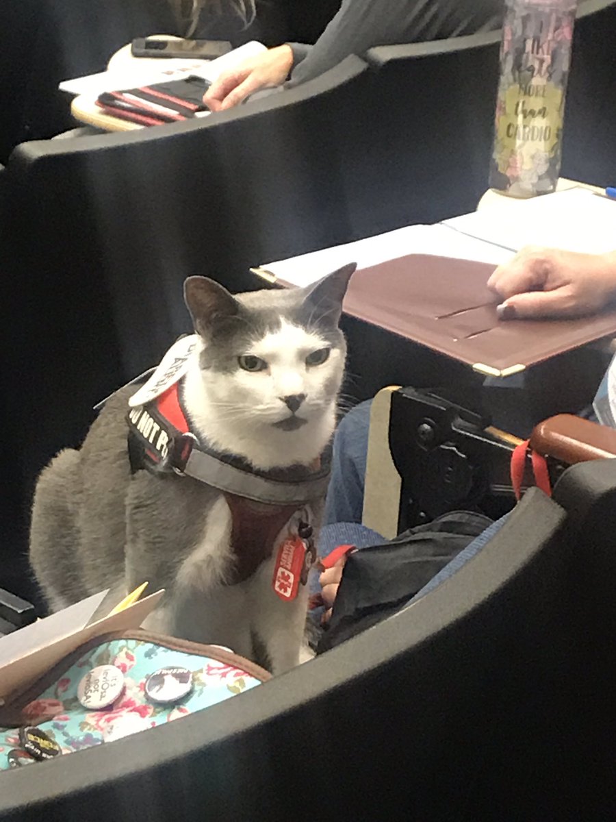hcphtx's tweet photo. #CatladyGoals! We welcome all zoonotic experts and industry leaders at our #OneHealth2017 conference. ❤️🐱 #truelove https://t.co/dkOzUBZzVq