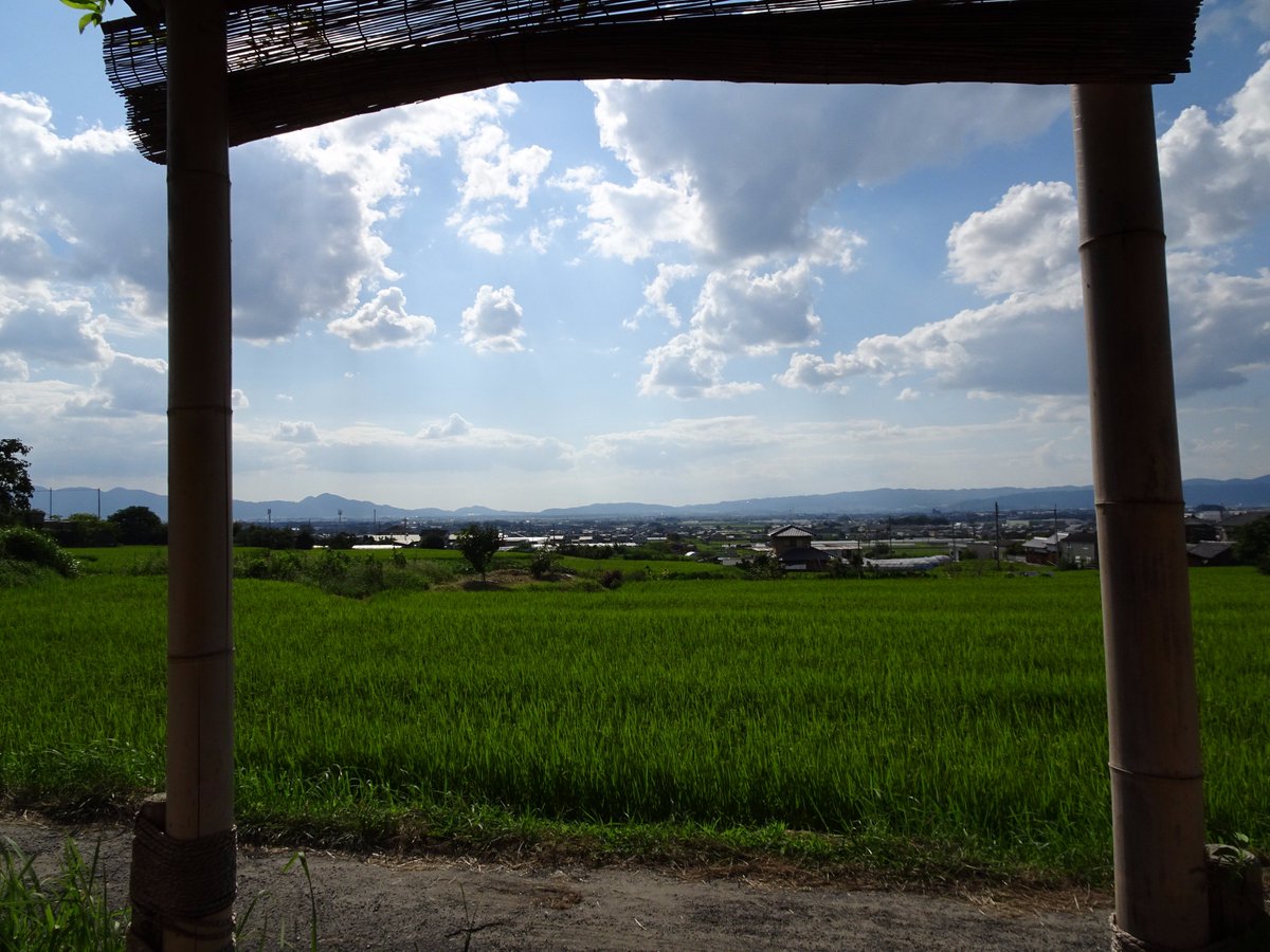 Nara_Stroller's tweet photo. 山の辺の道
日陰、気持ちよかったな(*´ω｀*) https://t.co/vCmKP1fgg5
