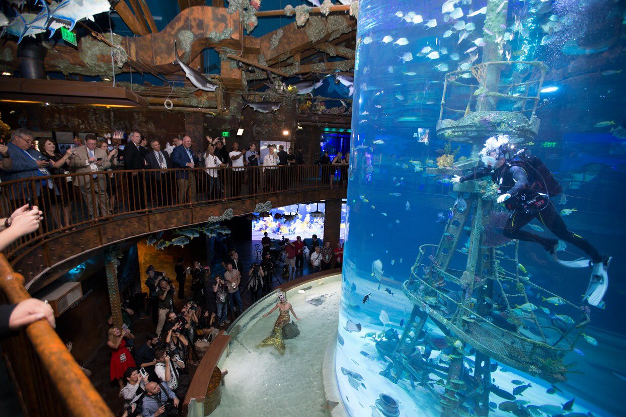 Wonders of Wildlife on Twitter: "Surprises await around every corner at