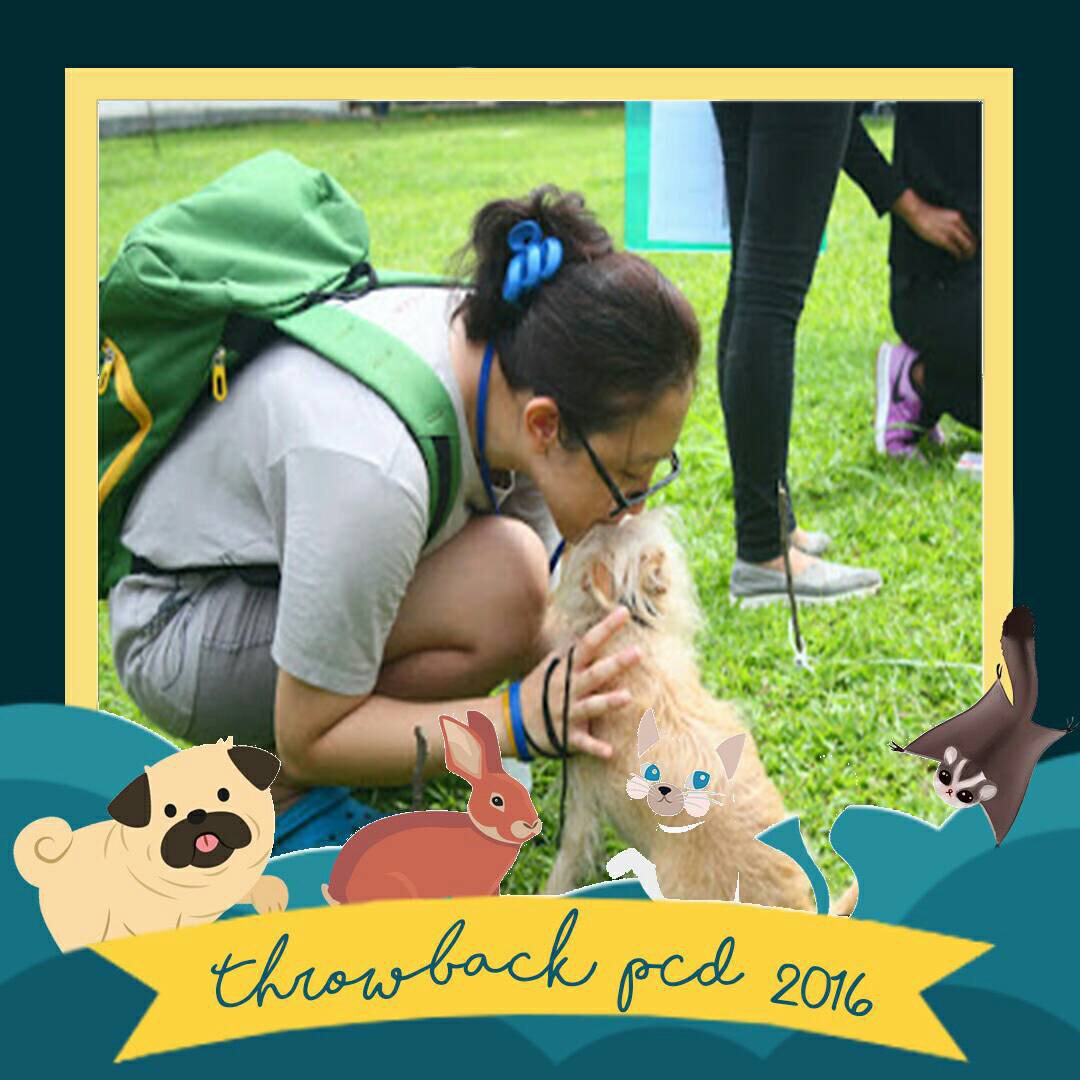 Masih belum kebayang Pet Care Day seperti apa? Penasaran dengan keseruannya tahun lalu???

Let's throwback our memories about Pet Care Day!💖