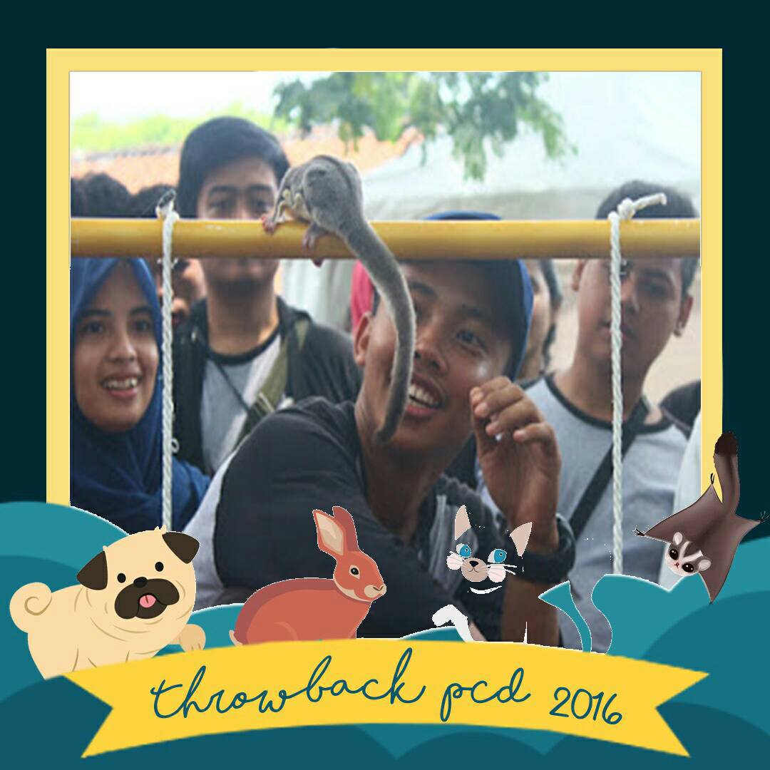 One of our big competition is....SUGAR GLIDER CONTEST!!

Ini keseruan Sugar Glider Contest pada Pet Care Day 2016 😍😍