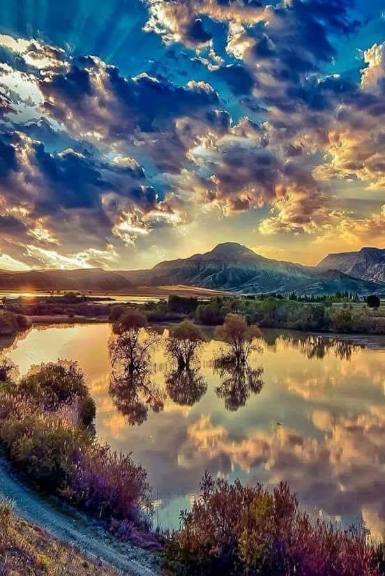 kentkristensen1's tweet photo. Sweet 🥂🍾 Dreams.... https://t.co/KhS8yAHCJj