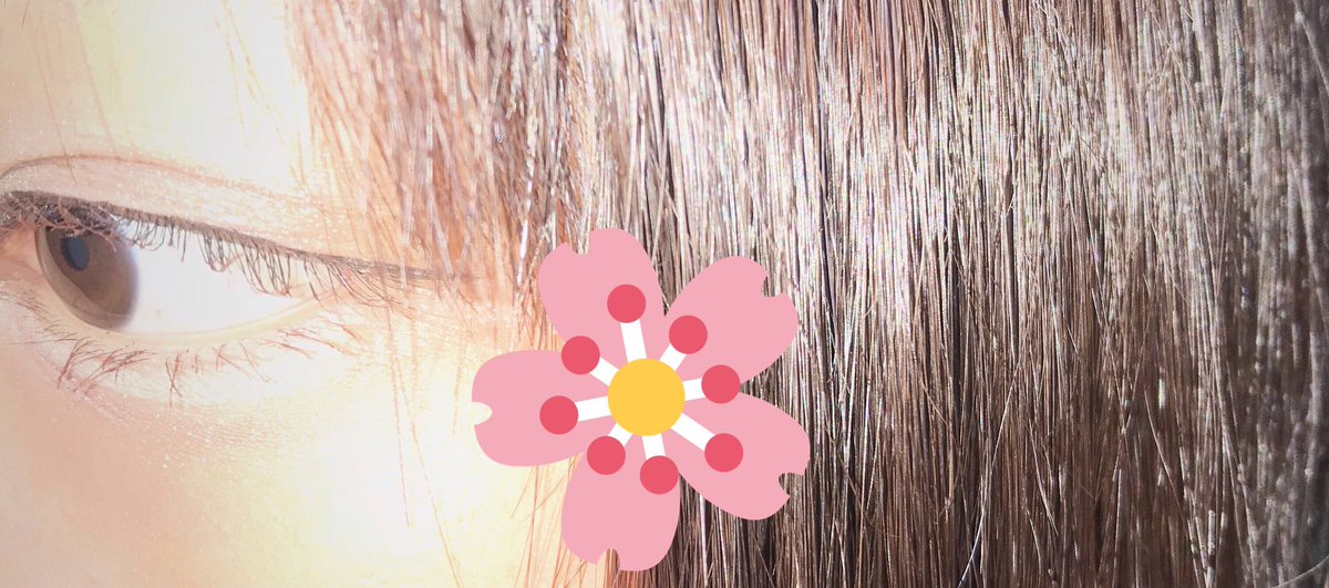 mo_mkyu4's tweet photo. 初めてのタグです
惚れてくれませんか~ ~ ~🍼

#目だけでフォロワーさん惚れさせる 
#雰囲気嫌いじゃないよって人RT
#1mmでもいいなって思ったらRT
#美男美女と繋がりたい
#らぶりつください #自発ください
#RTから気になる人フォローする
#お友達になりませんか https://t.co/fVge865wjs