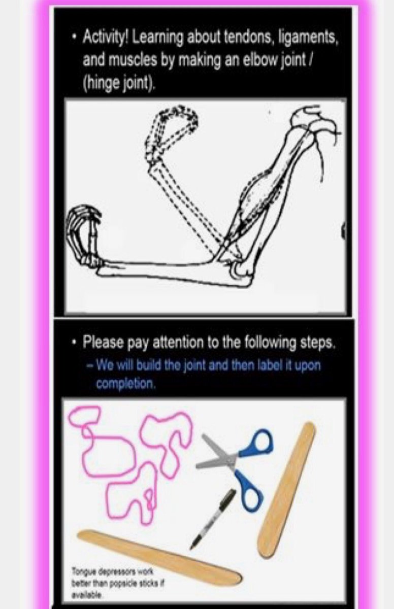 MrsSingleton's tweet photo. @MrS_Primary @PR_Science1 @SIMMSPriScience @stemkidsnw @TeachingSTEM Here are some ideas that I use... https://t.co/VYp9zQaoO4