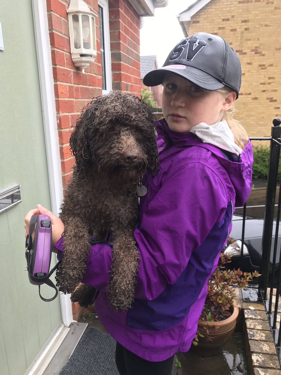 savs73's tweet image. In hindsight probably not the best idea to go for a LONG walk in this weather as Libby &amp;amp; Rosie are not happy campers 😡☔️😂 #LightDrizzle