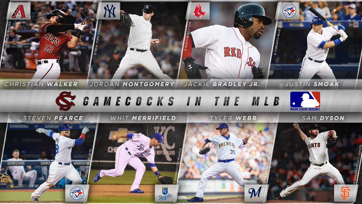 The last day of the regular season is today and what a season for #GamecocksInTheMLB! The best part? It's just getting started!
#PostSeason
