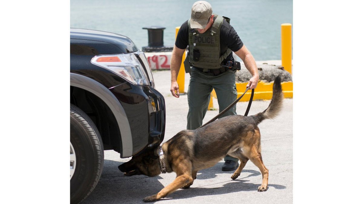 Battelle's tweet image. Proud to help @DHSgov w/#REDDI #caninedetection of explosives okt.to/ejqn6d 
More battelle.org/government-off…