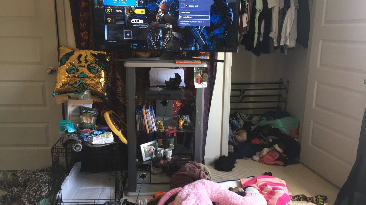 LoganMiller99's tweet photo. #findpickle https://t.co/aFQkWUL1sF