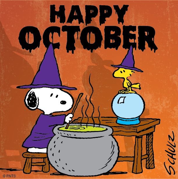 ravioli_ravs's tweet photo. Happy october bestfriend miss and love u so much!!!! Wish we were tg to celebrate😔😔😔 @mschlesingerr https://t.co/BeVyxPl5EP