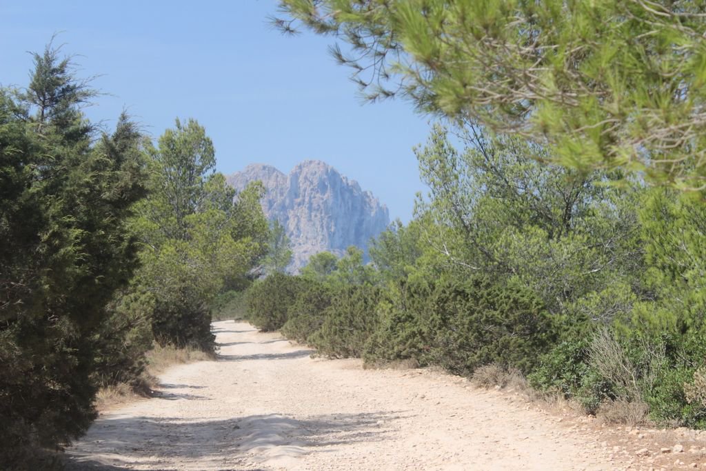 JessicaNelsonUK's tweet photo. Have you read my guide to a road trip to see Ibiza's hidden gems? https://t.co/H46EJojtgq #FromTheCarWindow @TalentedTalkers https://t.co/VJLRdaHRVd