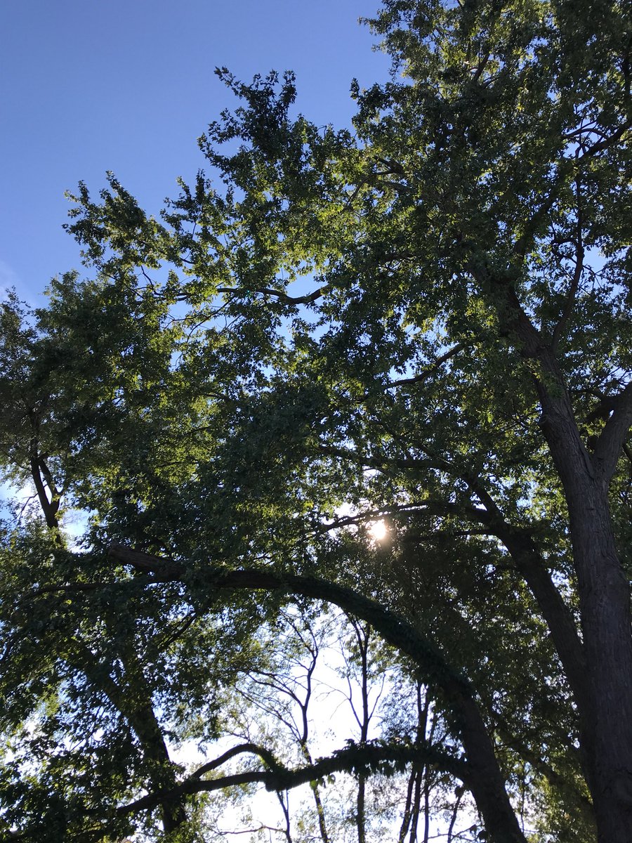 Rkrakower's tweet photo. Gotta love this fall weather. #fall #chillin https://t.co/GpgTdo61x0