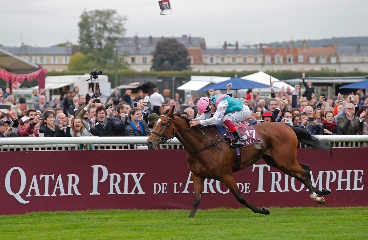 Enable – Prix de l’Arc de Triomphe 2017