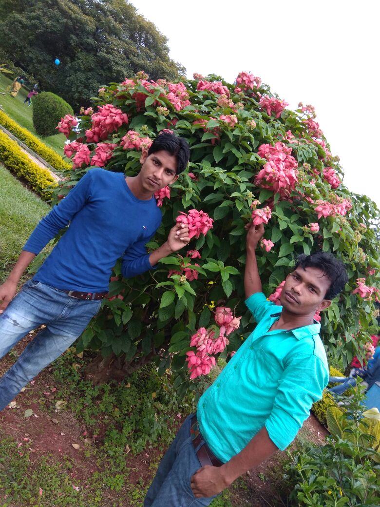 BiharDaroga's tweet photo. https://t.co/JzrfUqvVLP
