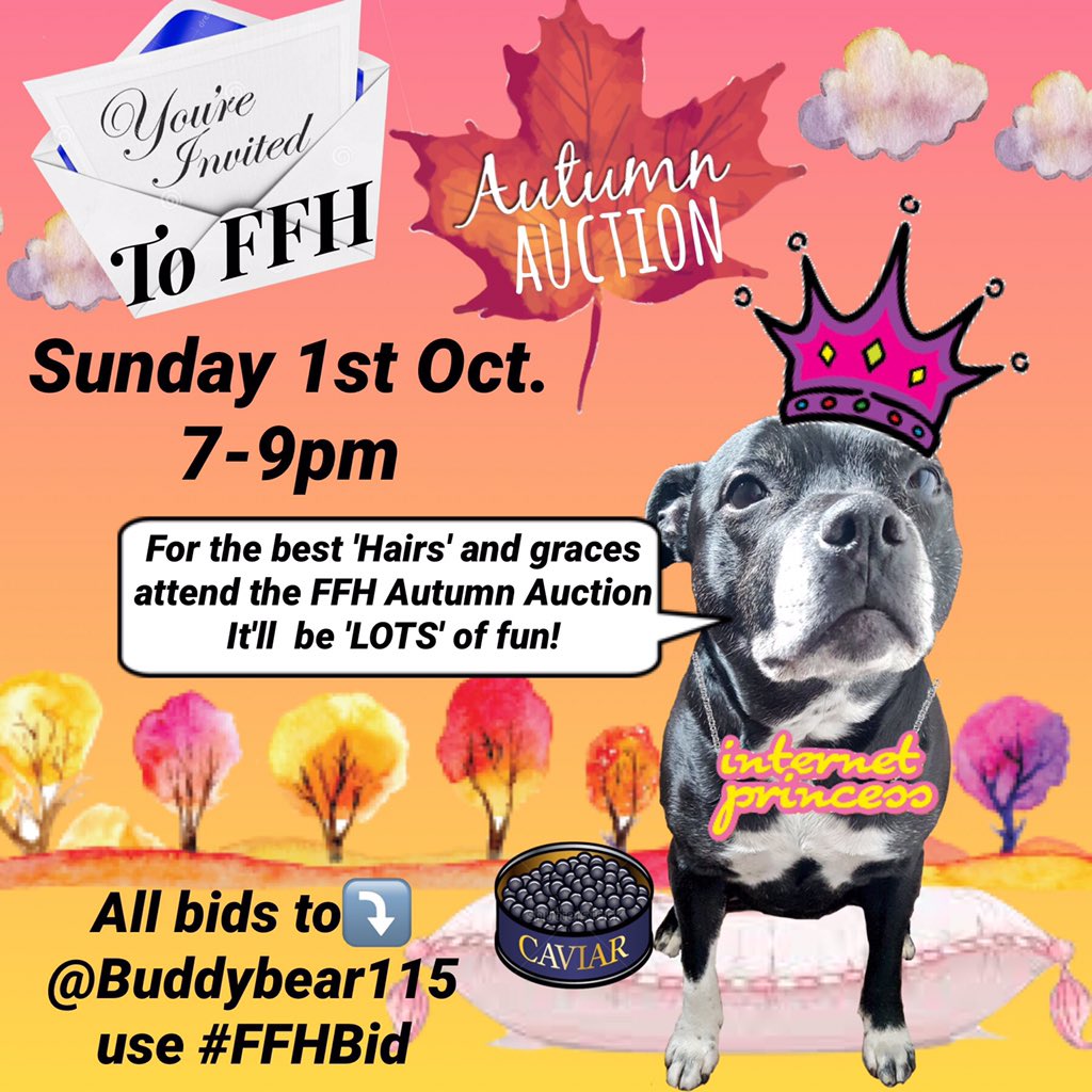 Nightowl400's tweet photo. #ffhbid search the hashtag and get bidding! Time is running out in our FFH #autumnauction Raising much needed pennies for the pups! https://t.co/xrS1w1SDcL