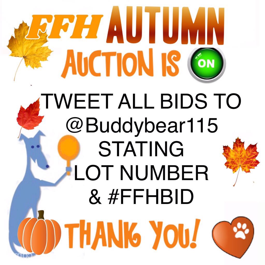 Buddybear115's tweet photo. Last 10 minutes of our #FFHBID #Autumnauction https://t.co/HxGCrk7wpG