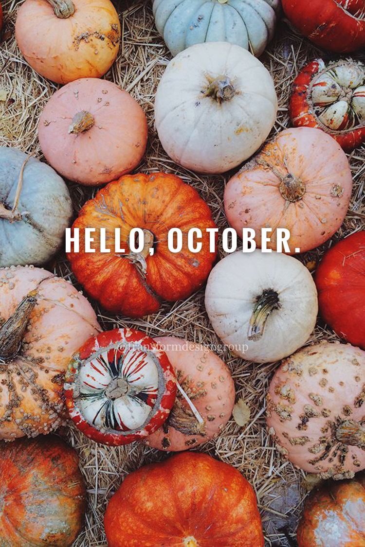 TLD_Brandon's tweet photo. Happy first day of October everyone !🎃🌾🍂 https://t.co/t0UR1YA4WV