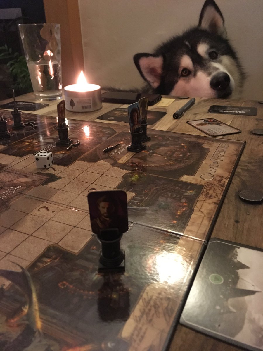 FafferNaffer's tweet photo. Giving @GameOfThrones Cluedo a go (Dire wolf model's own) @Hasbro #cluedo #GOT #gettingourgeekon #direwolf #danerysdidit https://t.co/6jcPJxRrVf