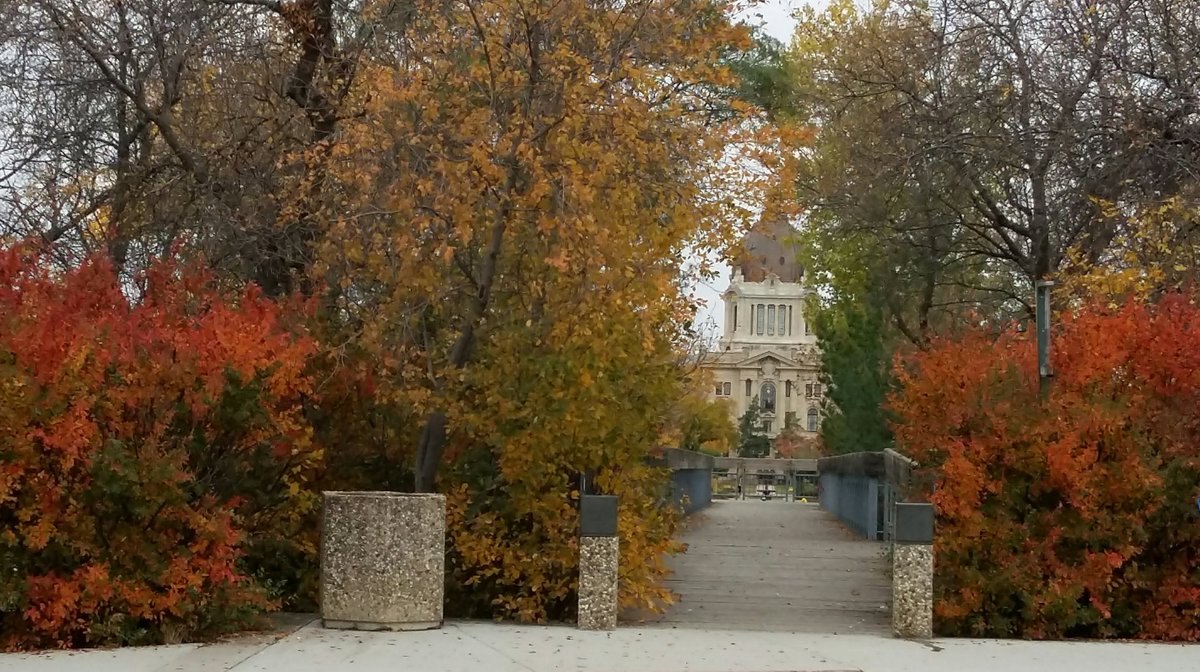 WendyT003's tweet photo. It's a chilly day for a walk in the park with @Crazycat161 but @WascanaCentre looks so pretty dressed in #FallColours #wca150 #Canada150 https://t.co/ZMGc08giWj
