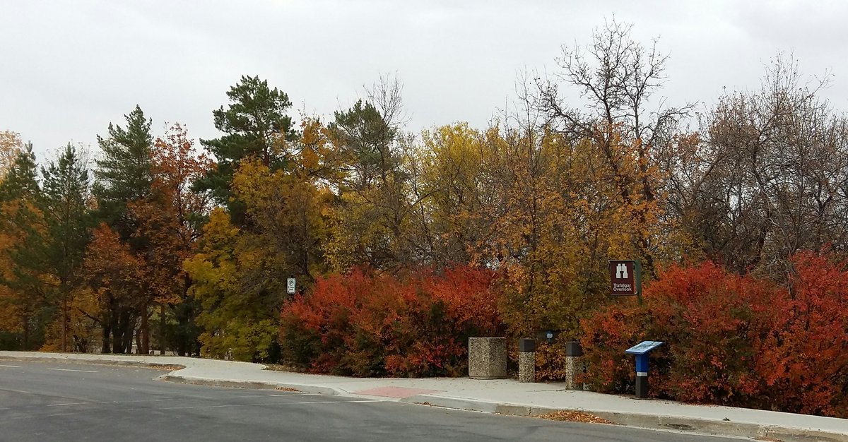 WendyT003's tweet photo. It's a chilly day for a walk in the park with @Crazycat161 but @WascanaCentre looks so pretty dressed in #FallColours #wca150 #Canada150 https://t.co/ZMGc08giWj