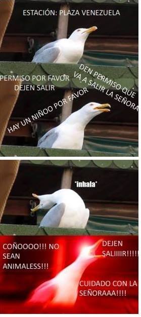 r0xkleis's tweet photo. EL MEJOR QUE HE VISTO JAJAJAJAJAJAAJAJAJAJAJA https://t.co/LuhBiuHV6r