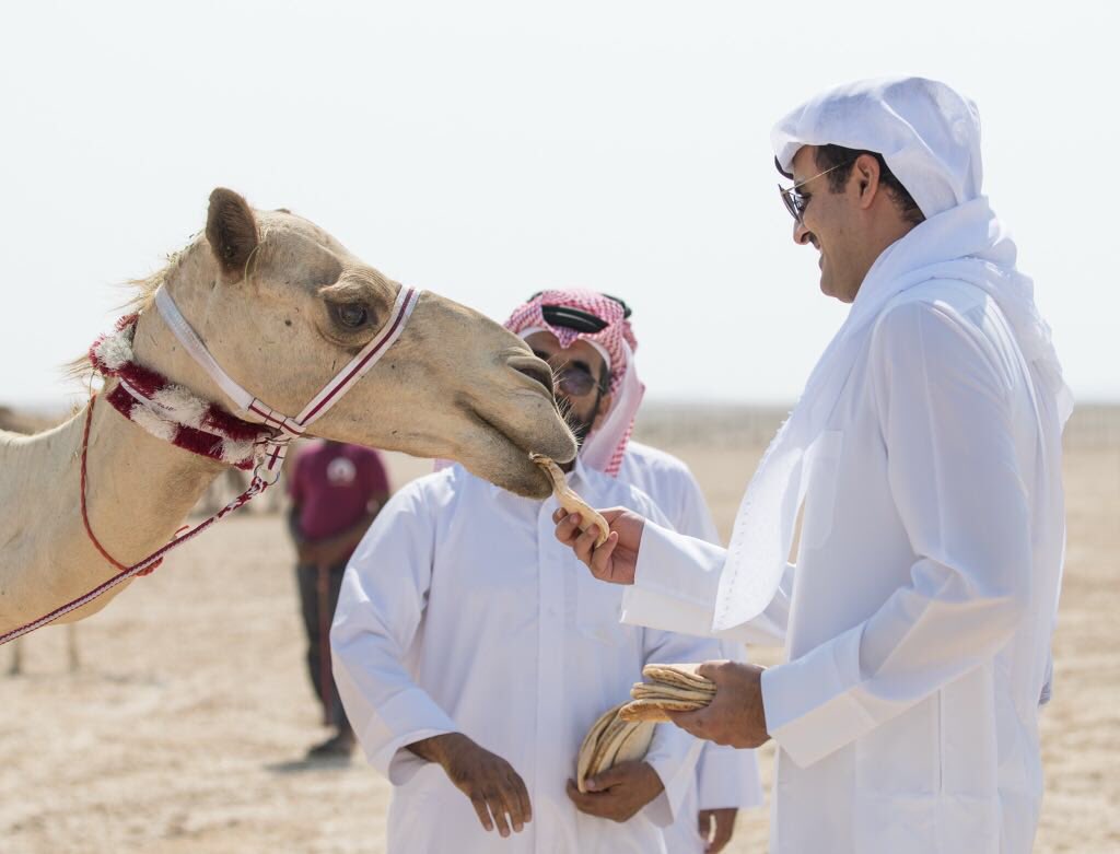 JoaanBinHamad's tweet image. كم كاس كم سيف تقبل به وتقفي به ..
في شوطها كلن ينافس على الثاني ..
#تميم
#الجزيرة