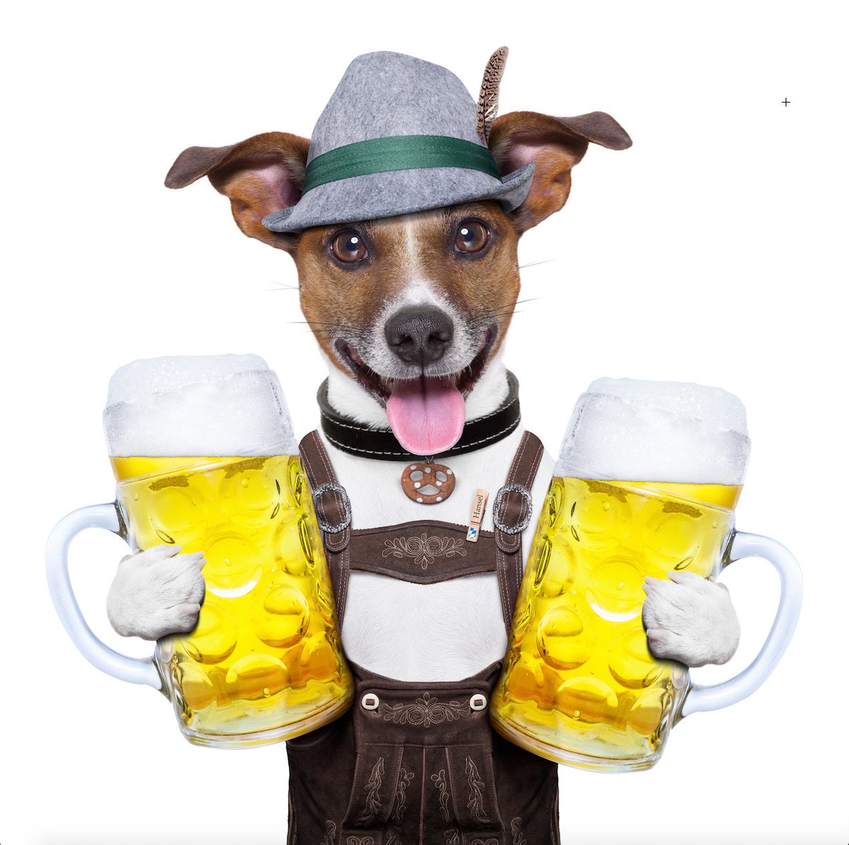 RT <a href="/roomongo/">roomongo</a>: Beers, Brats and Bands - #Oktoberfest season is in full swing! ow.ly/AhHu50eml4j