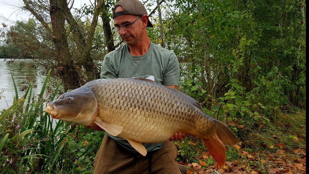 CoreBaits_uk's tweet photo. Steve session consisted of 7x20's 11x30's 2x40's & a new pb of 62lb 8oz all falling too CB4 wafters and beds of CB4 boilies. #CB4effect #CB4 https://t.co/tGWUH6Ivd6